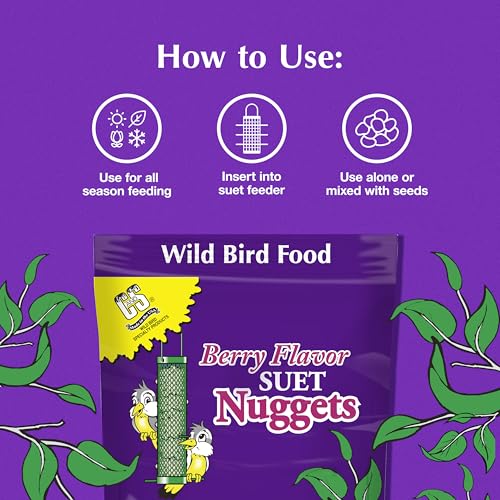 Berry Flavor Suet Nuggets (1.69 Pound (Pack of 1))
