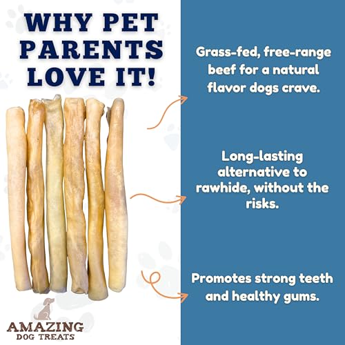 Large Collagen Stick
