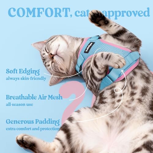 Cat Harness and Leash Set (Xxs / Light Blue & Pink)