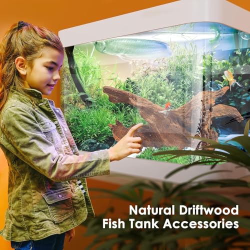 Natural Large Aquarium Driftwood for Fish Tanks & Reptile Terrariums (Large Mopani Driftwood 14 to 18 Inch (Pack of 2))