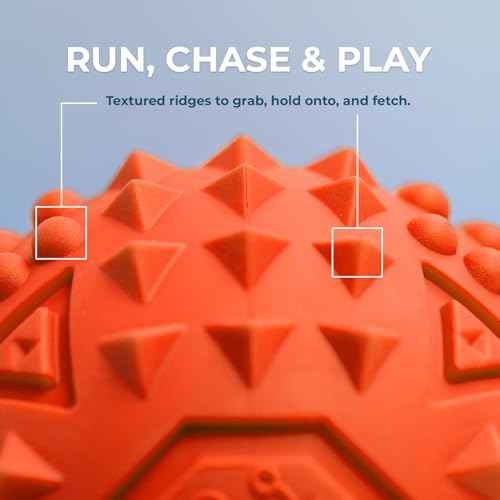 Squeaky Dog Toys with Soft Durable Fabric for Small (Orange / Large)