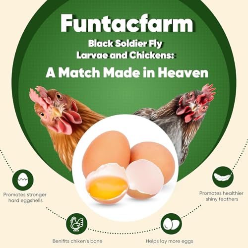 15LB Dried Black Soldier Fly Larvae for Chickens (15 Pound (Pack of 1))