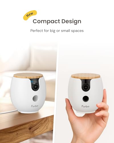 Mini 360° Camera [Core Features (Mini 360° Camera / No Subscription Required)