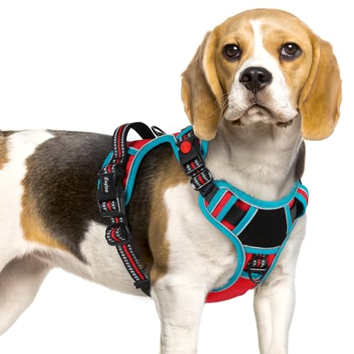 Dog Harness No Pull for Small Dogs (Small / Red & Teal)