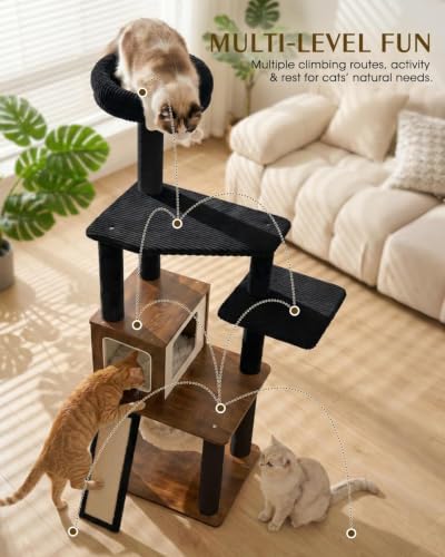 61" Modern Cat Tree (Walnut)