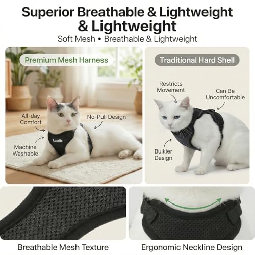 2 Pack Escape (Black / XS)