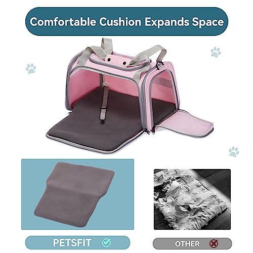 Cat Carrier for Large Cats (19.7"L x 13.0"W x 13.0"H / Pink)