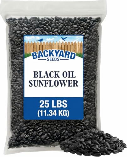 25LB Backyard Seeds Black Oil Sunflower Seeds (Black Oil Sunflower Seed / 25 Pound (Pack of 1))