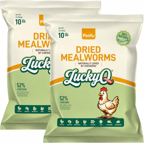 20lb Dried Mealworms for Chickens Duck High Protein Birds Treat (20 Pound (Pack of 1))