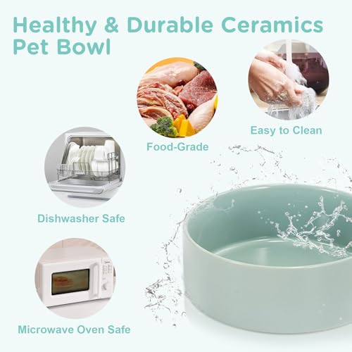 Elevated Dog Bowls Ceramic (7.3 in - 5.3 cups / Light Green)