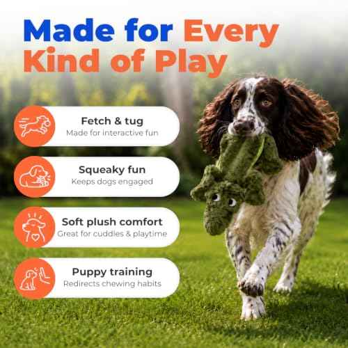 2-in-1 Stuffless Squeaky Dog Toy - Alligator, Medium (Green/Alligator / Medium)