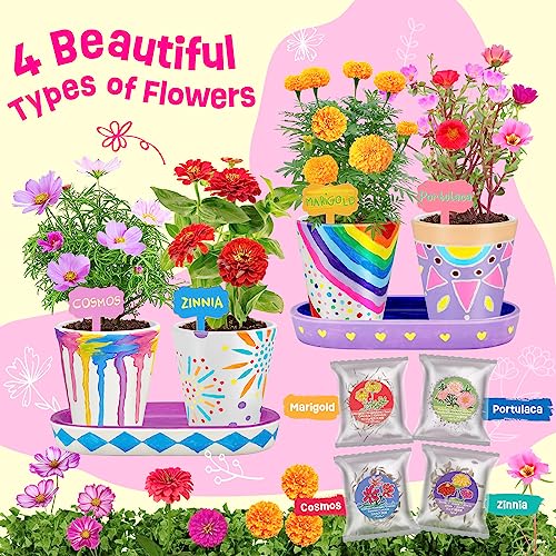 4 Set Paint & Plant Flower Gardening Kit (Flower Gardening Kit)