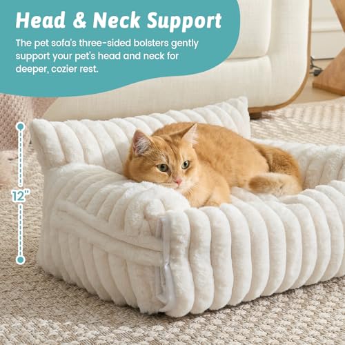 Cute Cat Bed with Removable Cover (Cream / Medium: 32'' x 24'')