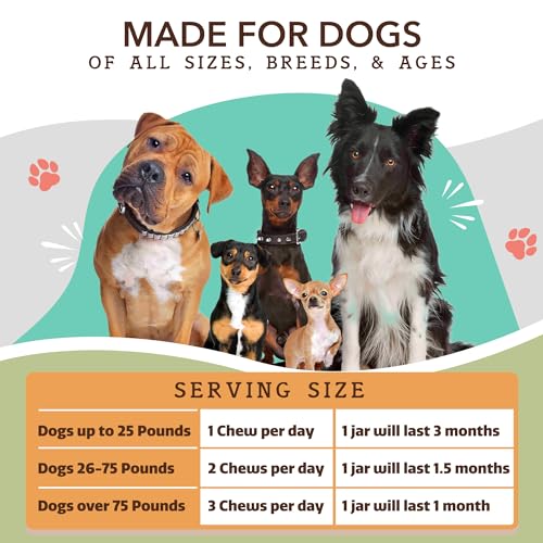 Hip & Joint Chews for Dogs (90 Count / Hip and Joint)