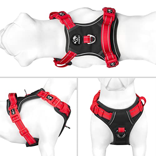 No Pull Dog Harness (Black Base & Red Straps / Large)