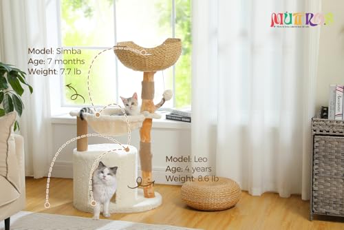 Modern Cat Tree for Large Cats (40" / Cloud White)