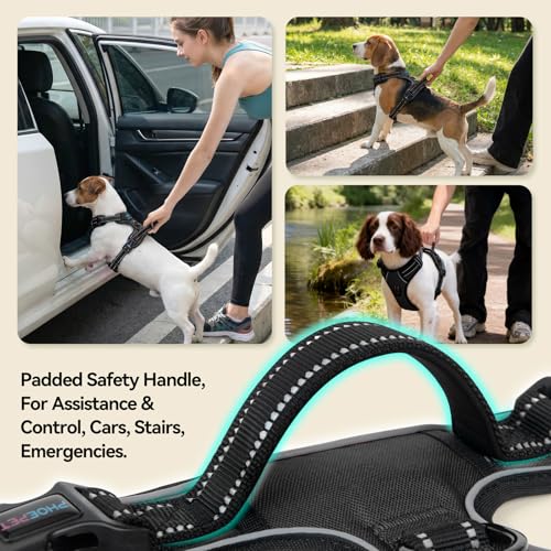 No Pull Dog Harnesses for Small Puppies Reflective Adjustable (Small / Black)