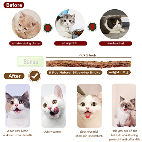 Natural Wood Cat Wand Toy with Ribbon Fish Teaser