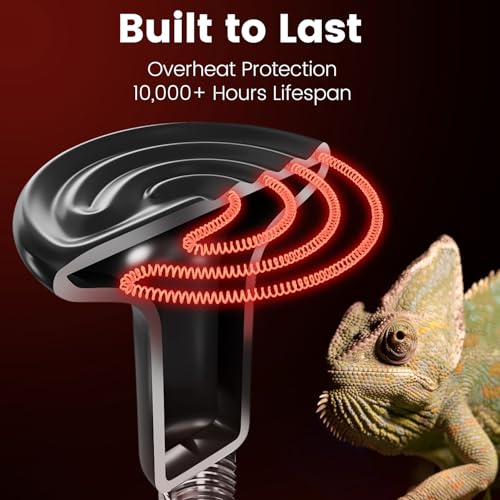 Dual Reptile Light Fixture with 100W Daytime Heat Bulb & 100W Nighttime Ceramic Heat Emitter (ST1)
