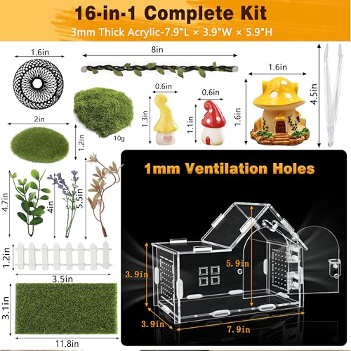 Acrylic Jumping Spider Enclosure Kit 19PCS with Decor (Green - Gothic style)