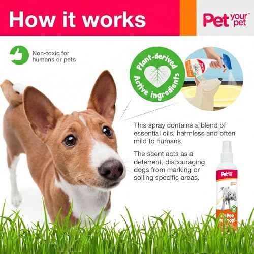 Dog Potty Training Spray No Pee No Poop (8 Ounce)