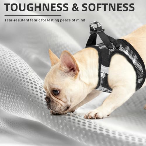 Dog Harness Collar and Leash Set No Pull for Small Medium Sized (Black / XL (CHEST 20"-22"))