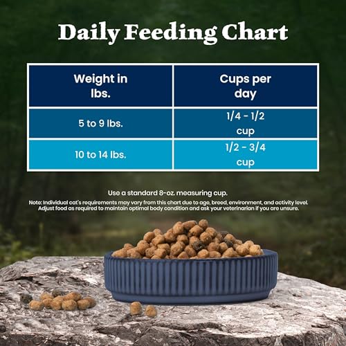 Wilderness Salmon Adult Dry Cat Food (15 Pound (Pack of 1))
