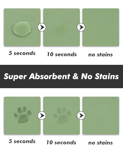 Absorbent Dog Food Mat (Green / 12"x19")