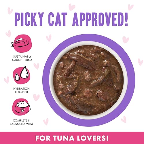 B.F.OMG Best Feline Friend Oh My Gravy! (3 Ounce (Pack of 12))