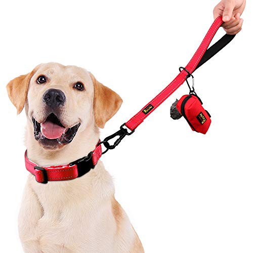 Short Training Dog Leash with Padded Handle for Medium Large Big Dogs (Red / 18 Inch (Pack of 1))