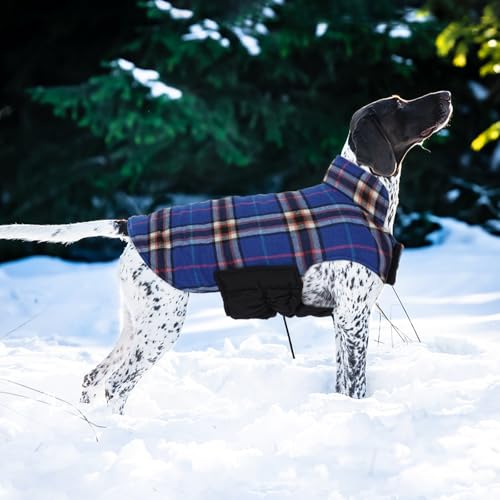 Waterproof Dog Coat (Navy / Medium (Pack of 1))