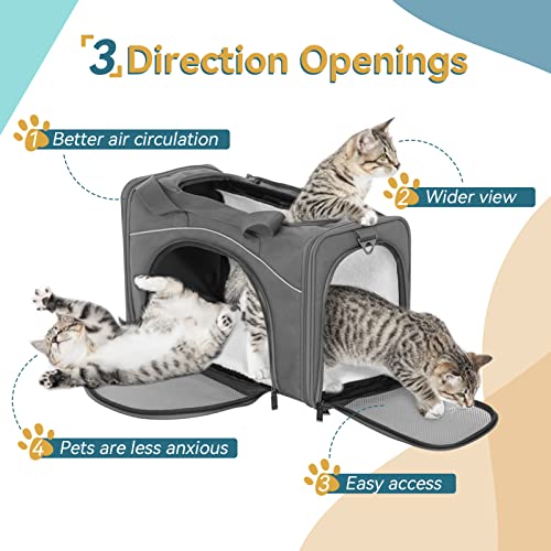 Airline Approved Pet Carrier for Small Dogs & Cats (Grey / 19.0"L x 9.5"W x 12.0"H)