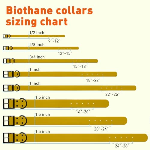 Biothane Waterproof Dog Collar Strong Coated Nylon Webbing with Black Hardware Odor (W5/8" x L12-15" / Treasure Gold)