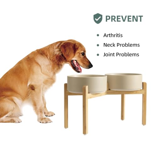 Dog Bowls Elevated (Matte Khaki)