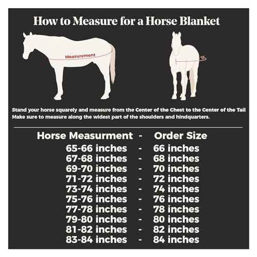 Mosquito Mesh II Adjusta (Horse Size 78 / Attached Neck VTEK Bellyband / Blue)