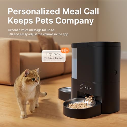 Automatic Cat Feeder and Water