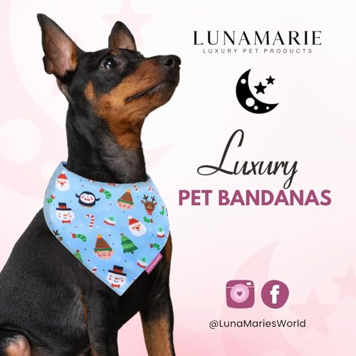 Luxury Pet Birthday Bandanas (Santa's North Pole / Medium)