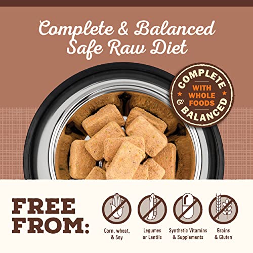 Primal Freeze Dried Raw Dog Food Nuggets (14 Ounce (Pack of 1))