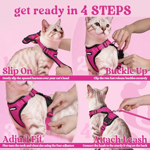Cat Harness and Leash Set (M / Rose Red)