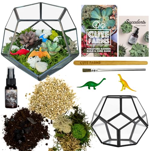 Glass Terrarium Kit (Geometric Glass)