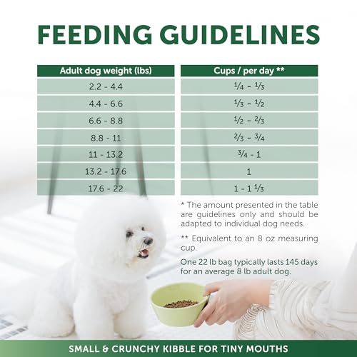 Superior Care Adult Dog Dry Food (22 Pound (Pack of 1))