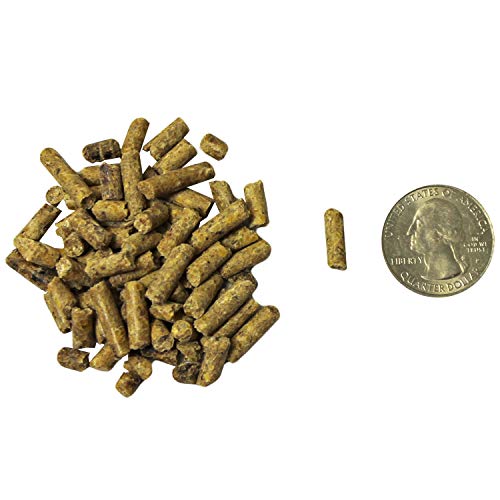 Degu Diet 18lb (18 Pound (Pack of 1))