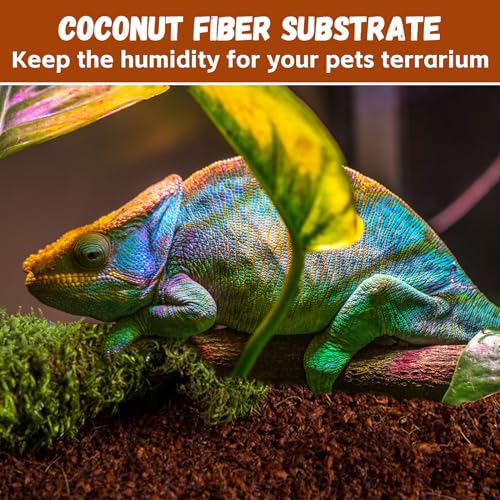 6 Pack Coconut Fiber Substrate (6 Pack)