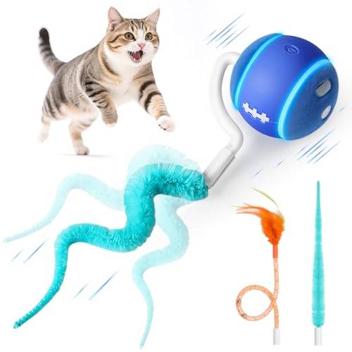 Interactive Cat Toy Ball for Indoor Cats with 3