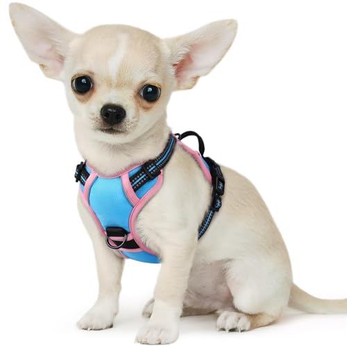 Dog Harness for Small Dogs (X-Small / Pink & Blue)