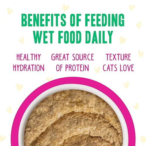 B.F.F. Play Best Feline Friend Paté Lovers (3 Ounce (Pack of 12))