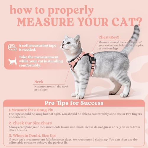 Cat Harness and Leash Set (M / Light Salmon Pink)