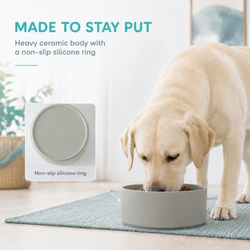 Ceramic Dog Bowls (Matte Gray)