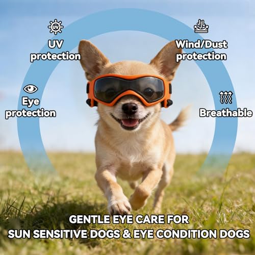 XS Dog Goggles for Extra Small Breed UV (X-Small / Orange)