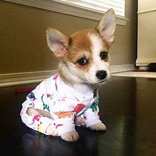 Dog Halloween Pajamas Puppy Onesies Small Dogs Soft Pjs Coat Cat Apparel Comfy Pet Christmas Clothes Outfit Doggie Bodysuit (X-Small / White Dino)